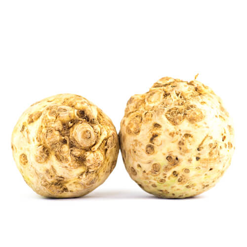 Корінь Селери