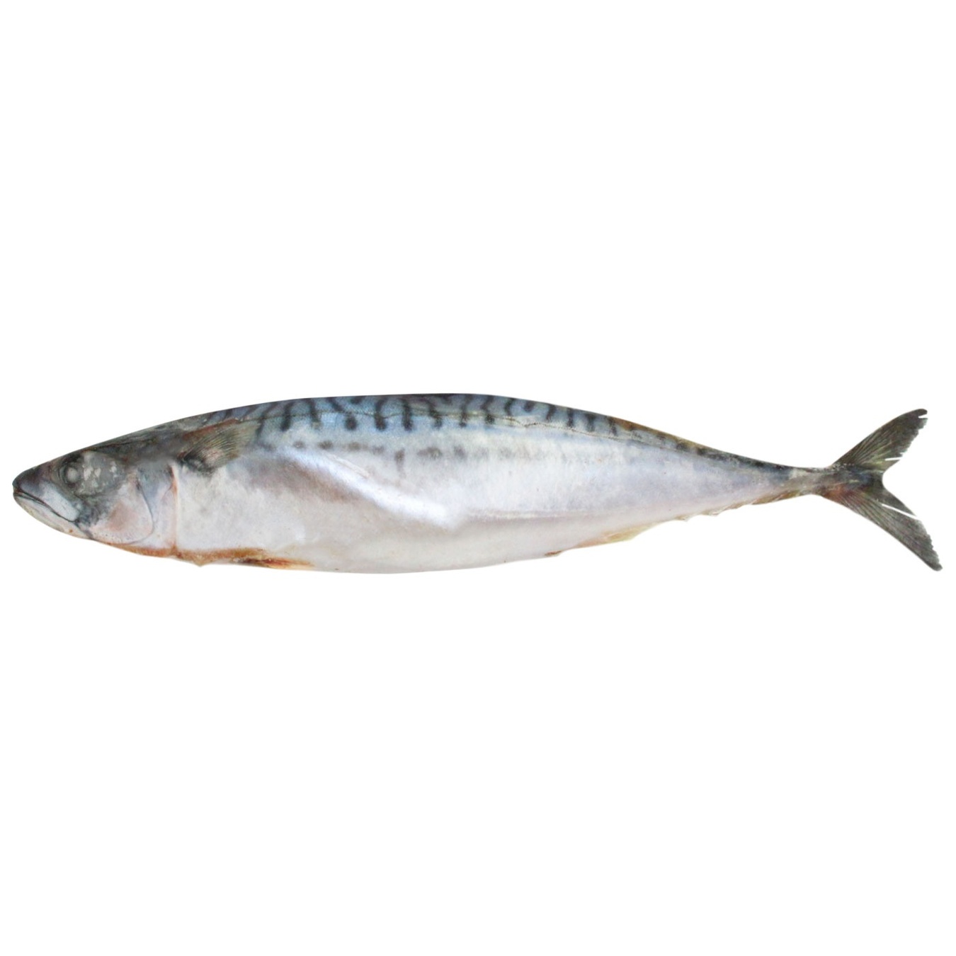 Риба Крамар с/м Скумбрія 400-600