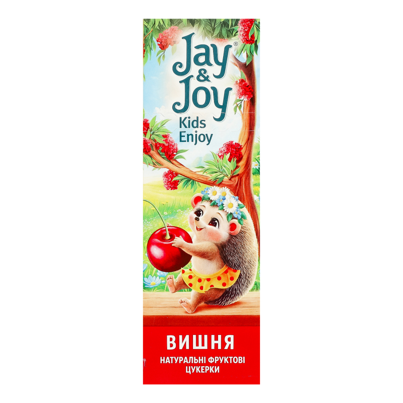 Пастила Jay&Joy 32г Вишнева